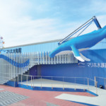 直観と決断力で事業拡大<br>不動産管理から水族館への挑戦