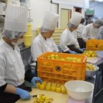 誇れる島のレモンケーキと雇用を生む。働き方改革の次は『モチベーションアップ』株式会社島ごころ株式会社島ごころ